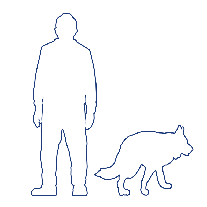 thermal security camera icon